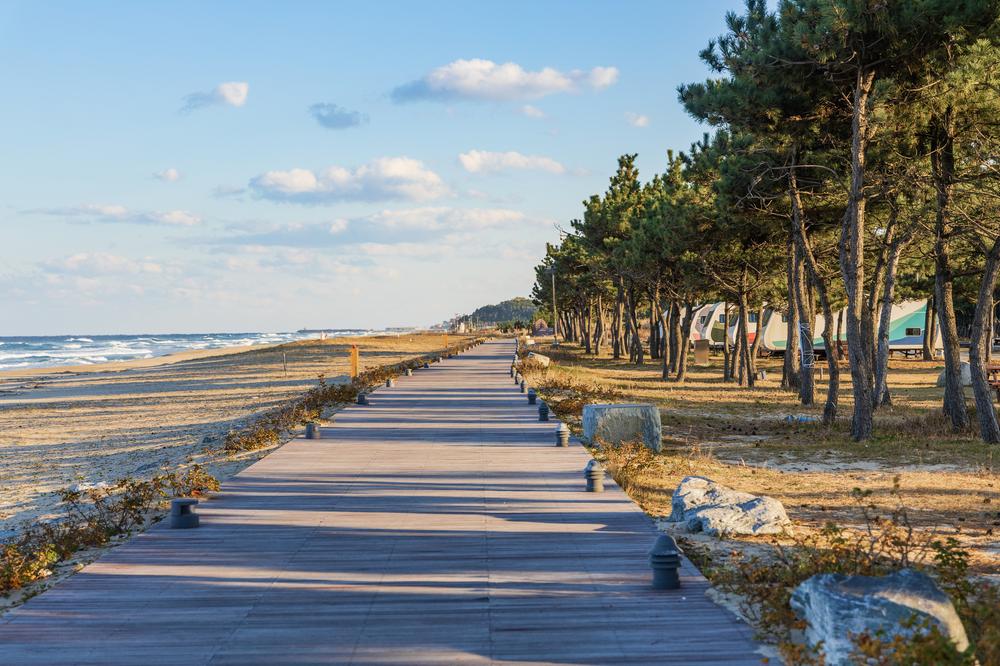 망상오토캠핑리조트