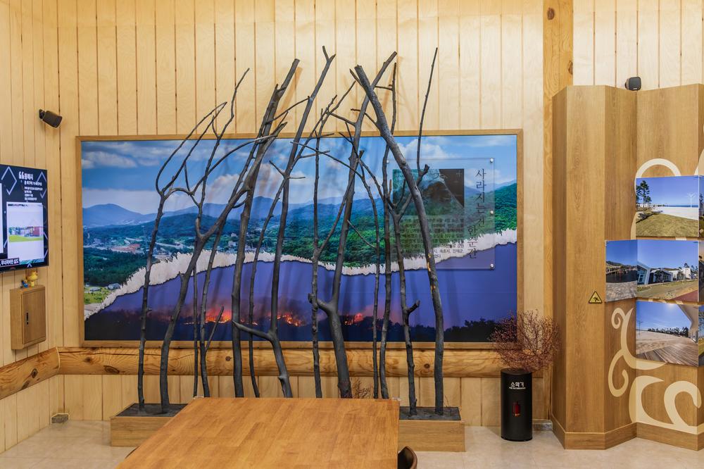 망상오토캠핑리조트