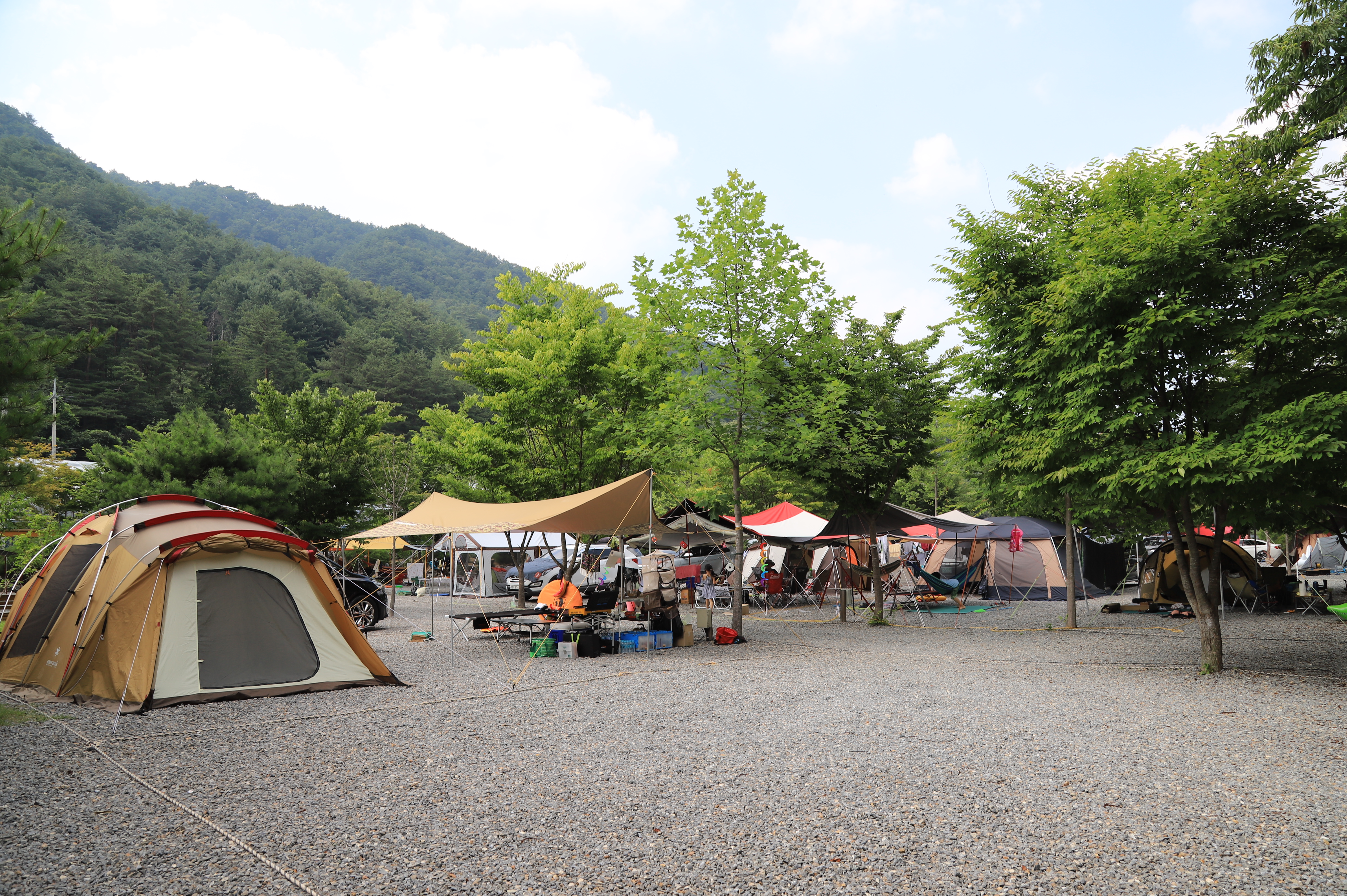 두산분교 캠핑장