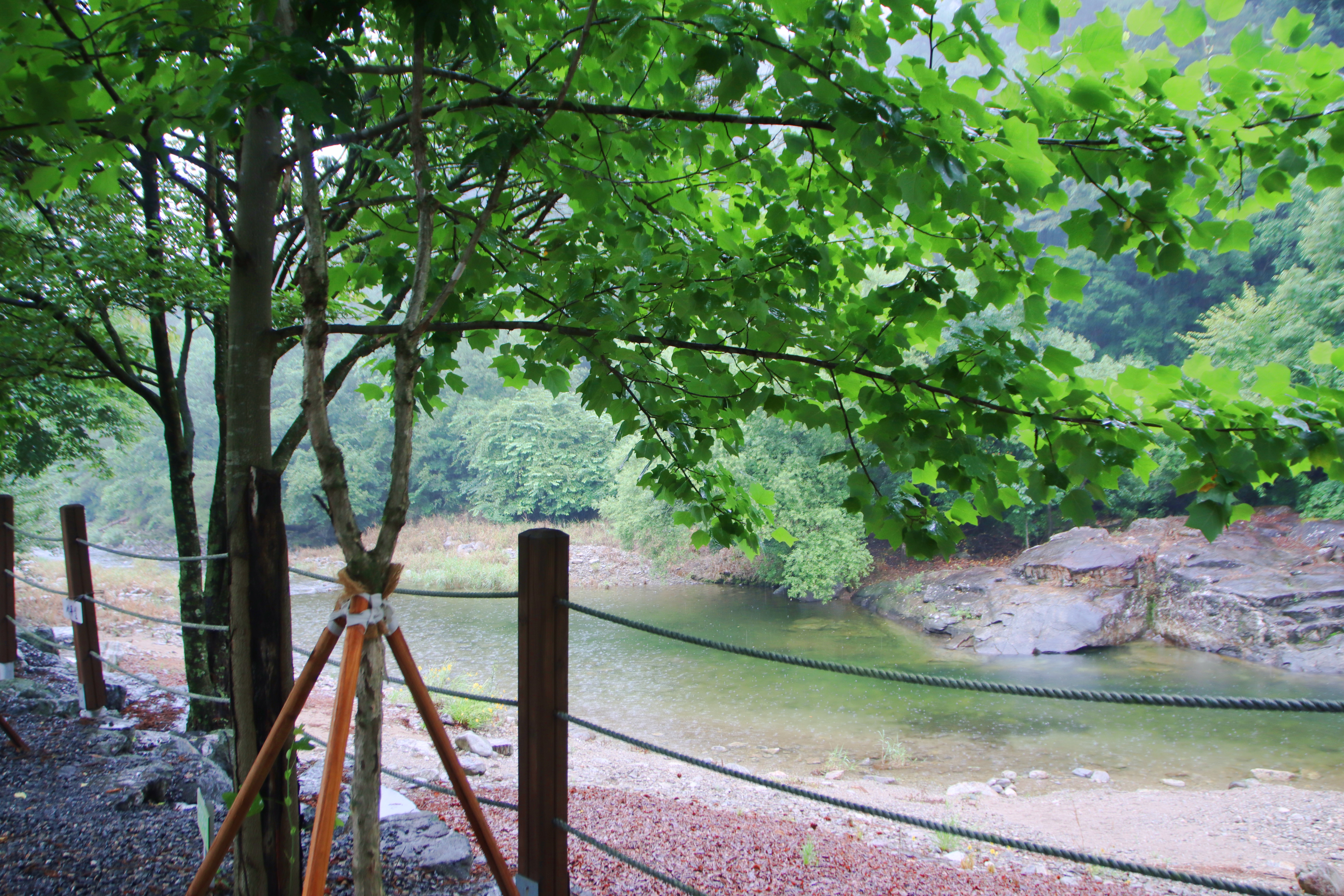 도원 주식회사
