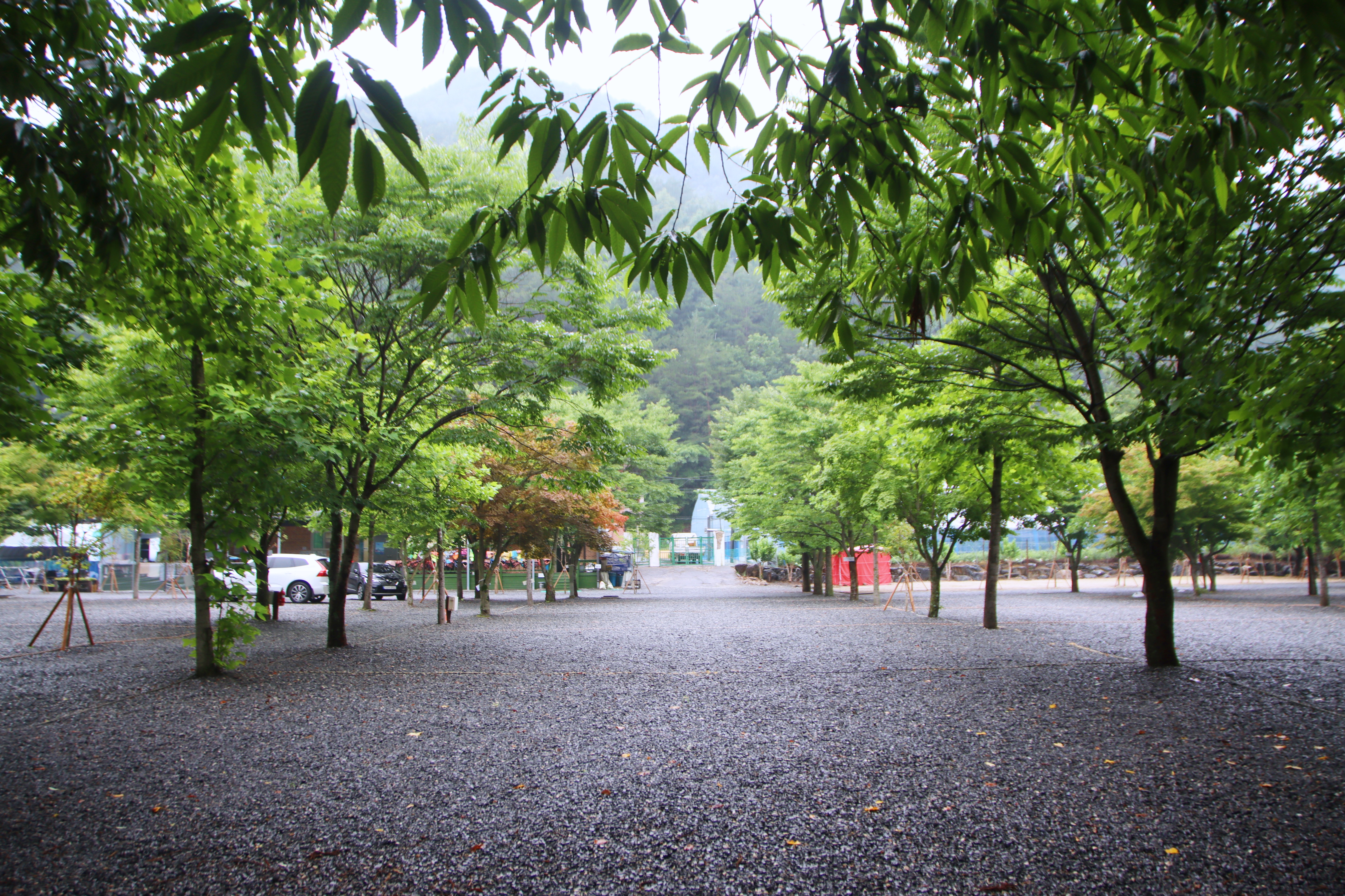 도원 주식회사