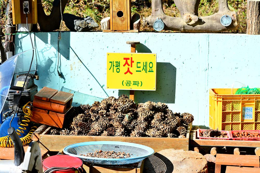 둥지캠핑장