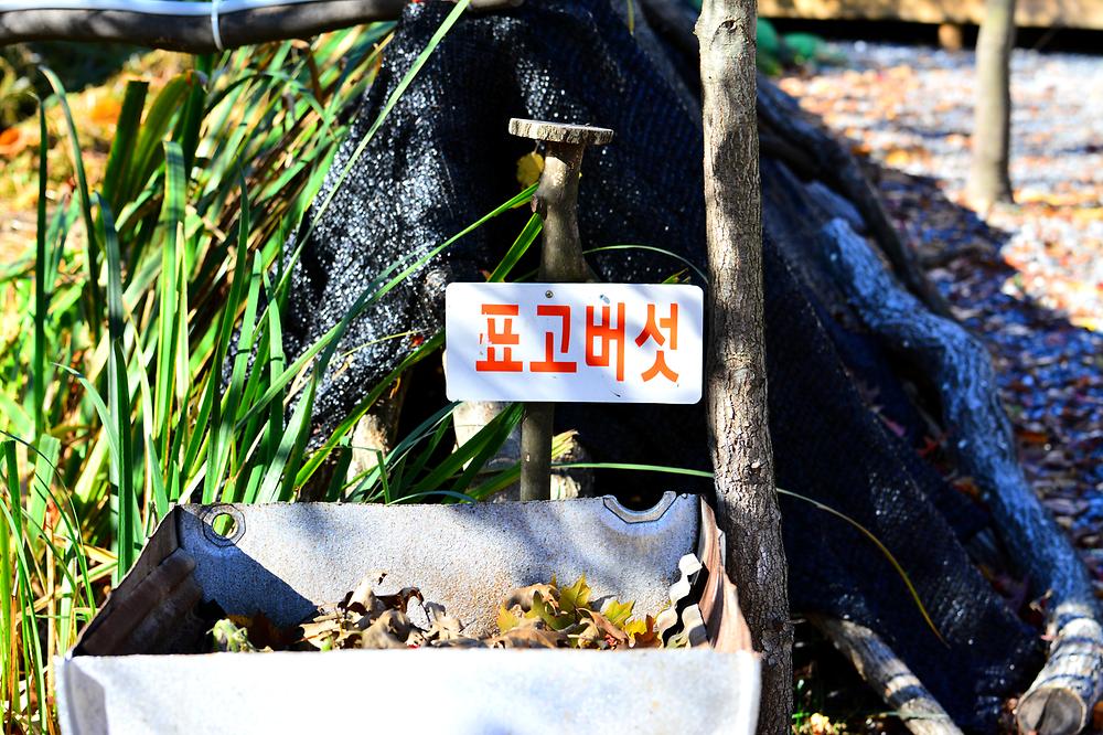둥지캠핑장