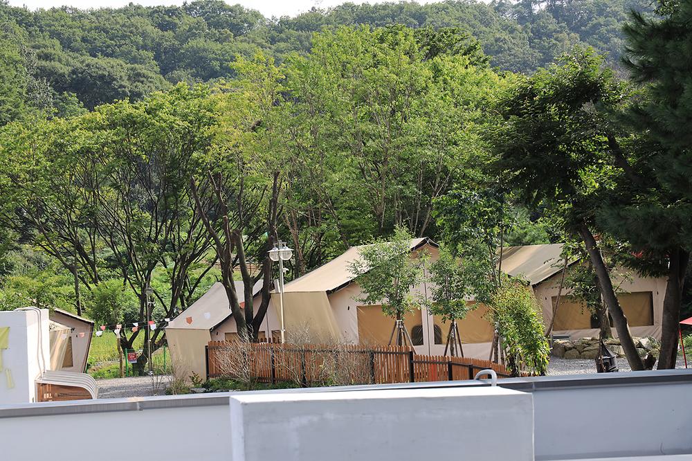 청계산 골든밸리 가족캠핑장