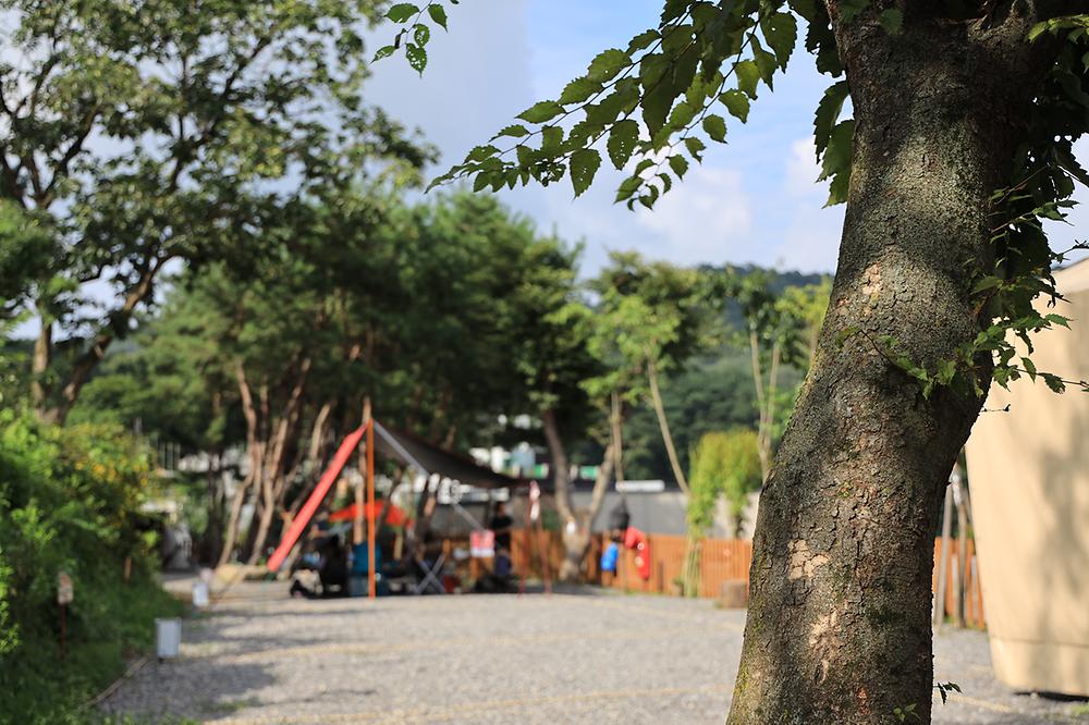 청계산 골든밸리 가족캠핑장