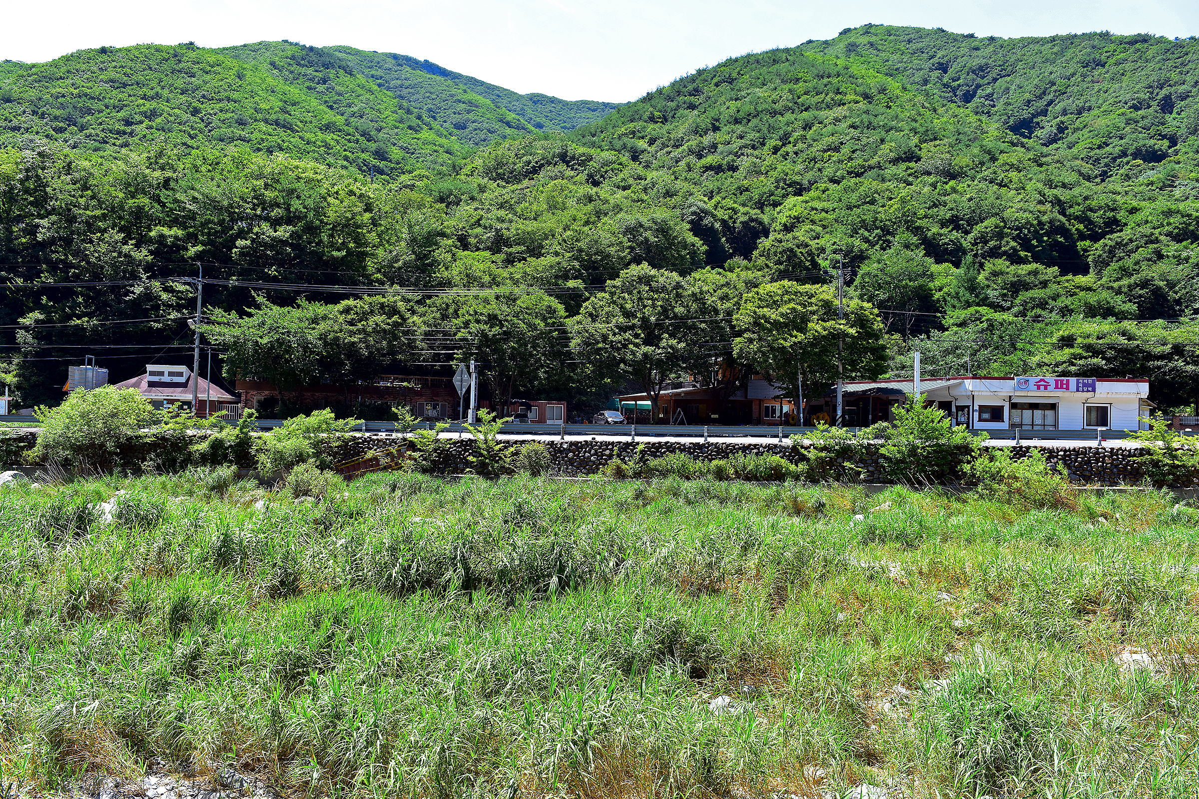들살이오토캠핑장