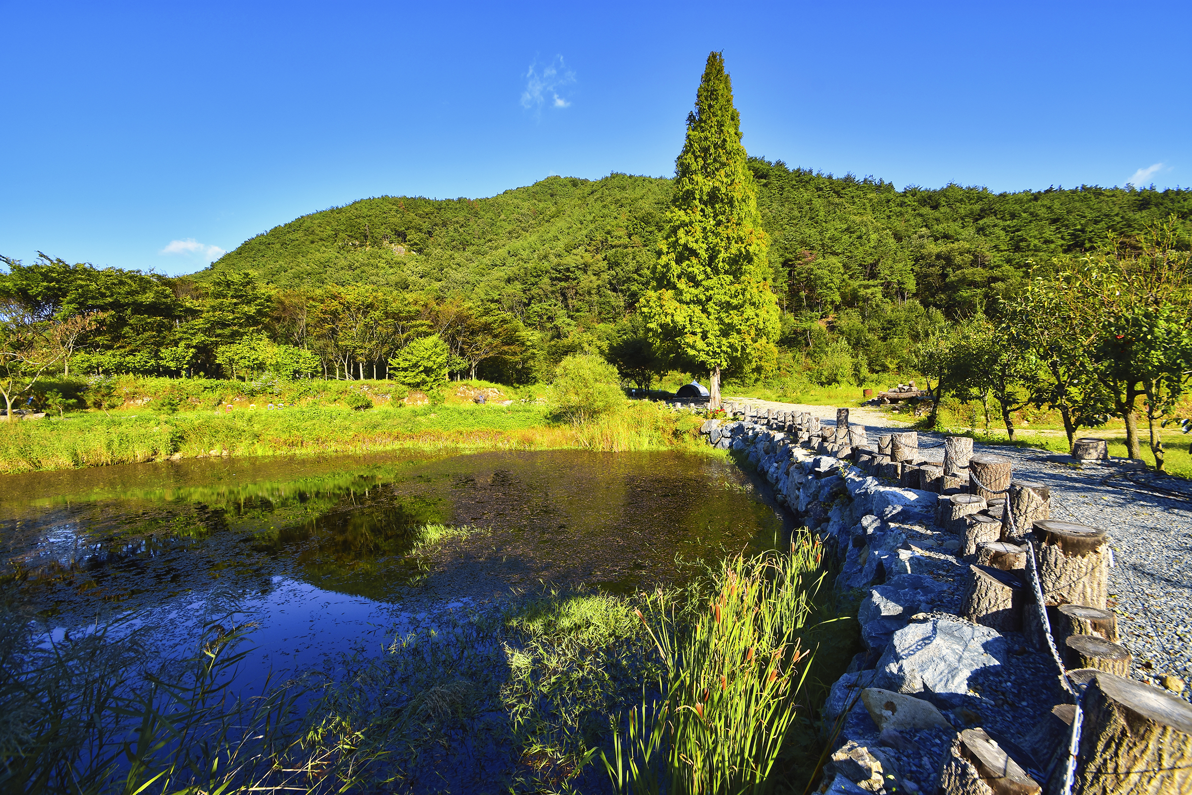 I go 오토캠핑장