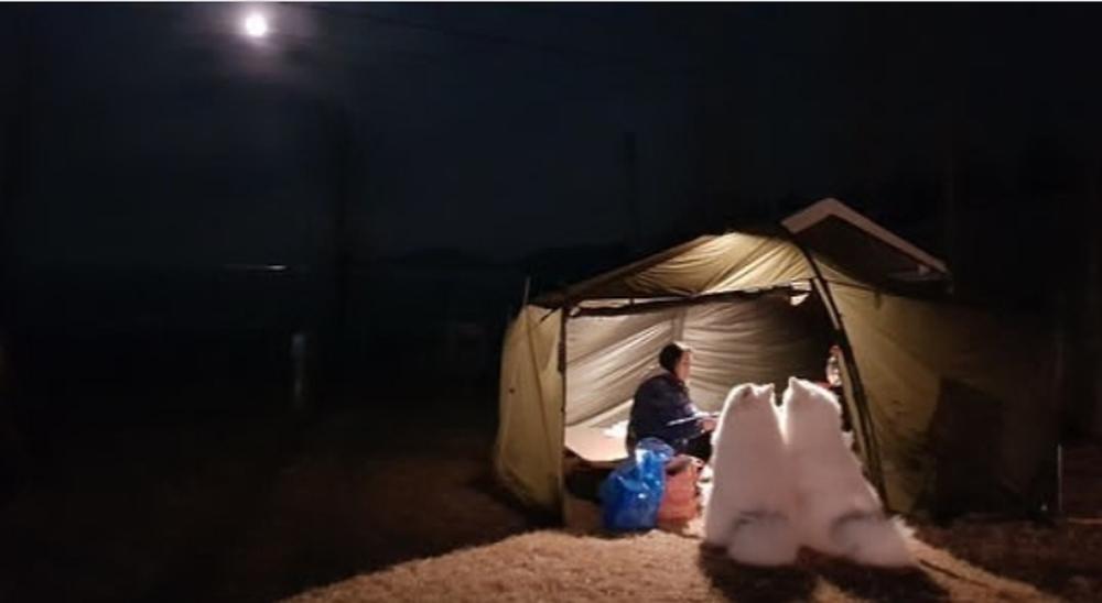 랩도그빌애견캠핑장