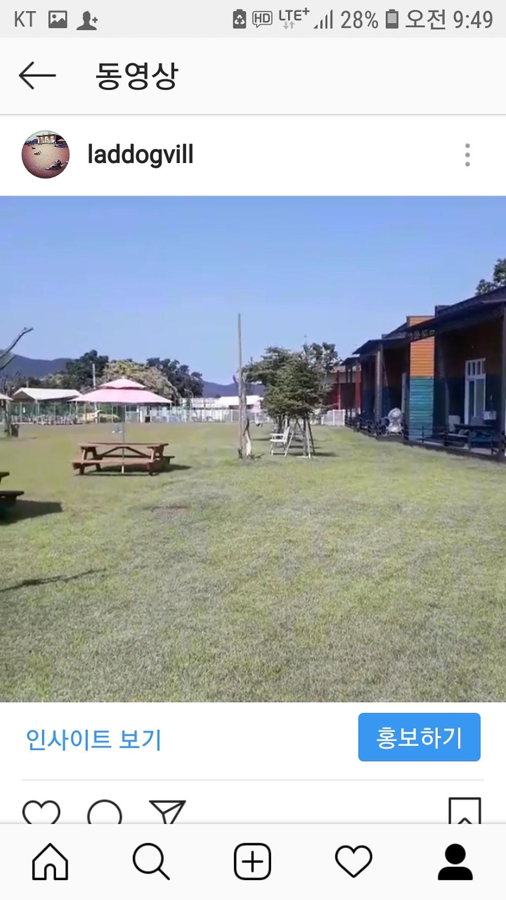 랩도그빌애견캠핑장