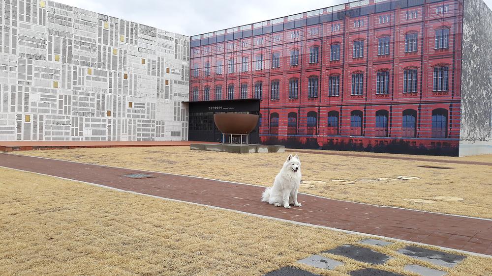 랩도그빌애견캠핑장