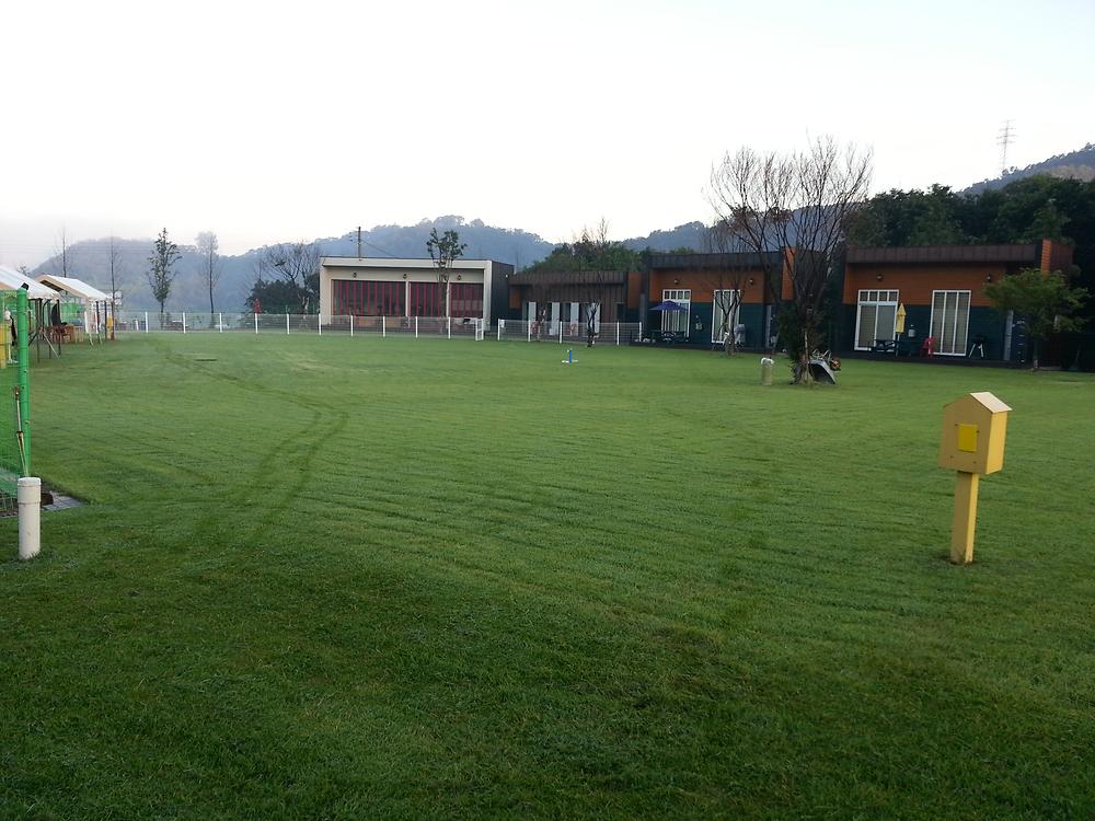 랩도그빌애견캠핑장