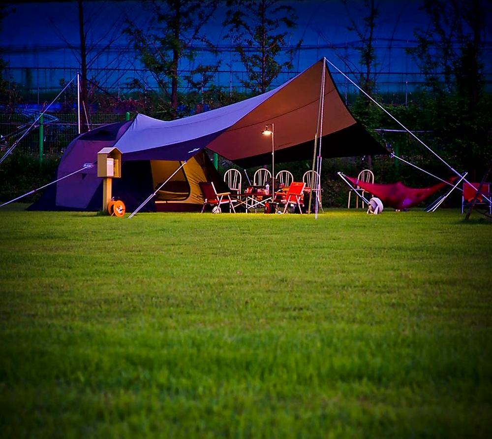 랩도그빌애견캠핑장