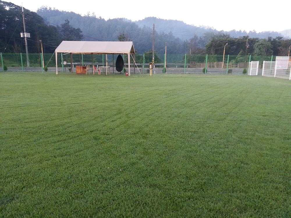 랩도그빌애견캠핑장