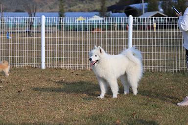 캠핑장소개 이미지