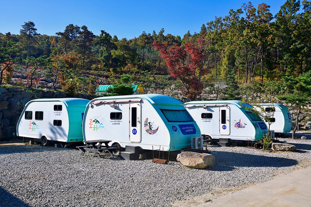 로하스캠핑