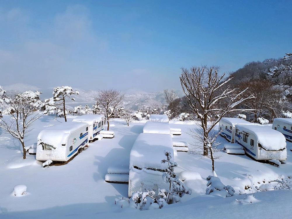 로하스캠핑