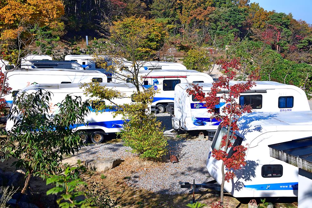 로하스캠핑