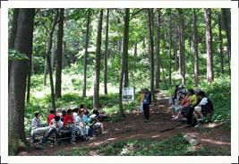 숲해설 및 산림문화체험 프로그램 주요프로그램 이미지입니다.